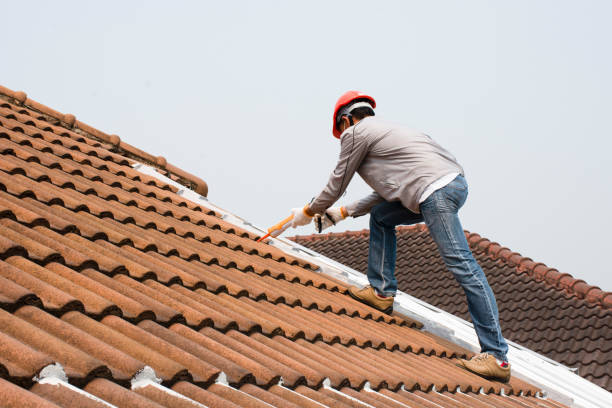 Best Rubber Roofing (EPDM, TPO)  in Ypsilanti, MI