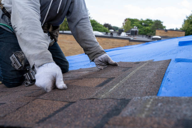 Best Solar Panel Roofing Installation  in Ypsilanti, MI